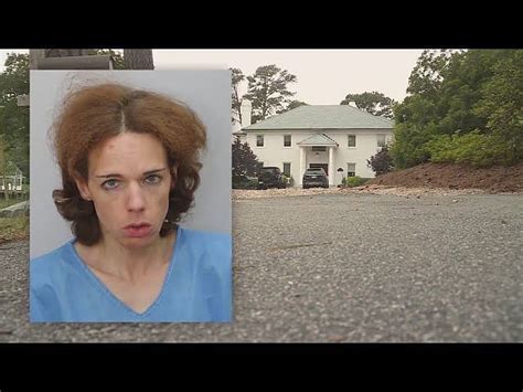 abbey horwitz virginia beach|Woman indicted in stabbing death of father, well。